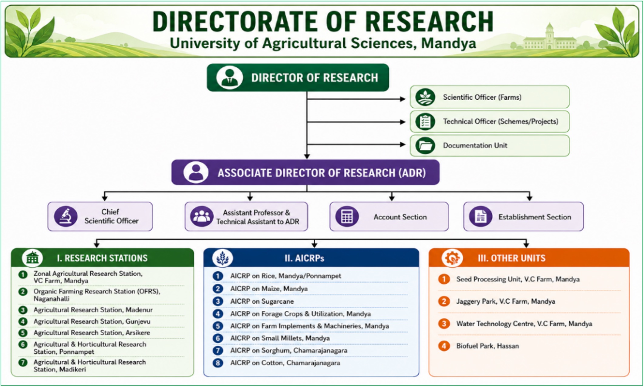 Directorate of Research Organizational Chart